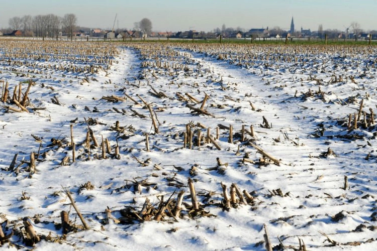 Vannacht nog -4 met sneeuw in de Ardennen, volgende week 20 graden